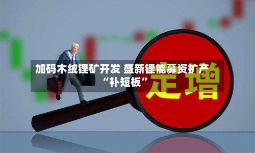 加码木绒锂矿开发 盛新锂能募资扩产“补短板”-第2张图片