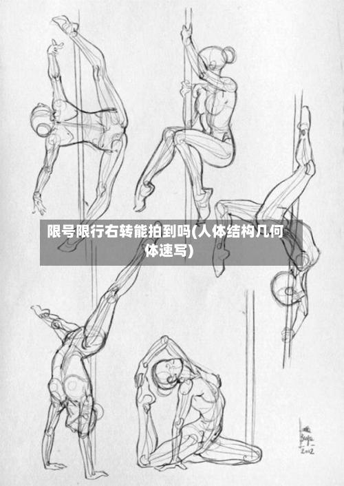 限号限行右转能拍到吗(人体结构几何体速写)