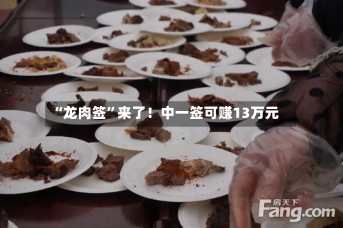 “龙肉签”来了！中一签可赚13万元-第2张图片
