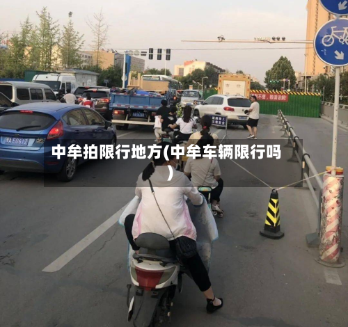 中牟拍限行地方(中牟车辆限行吗)
