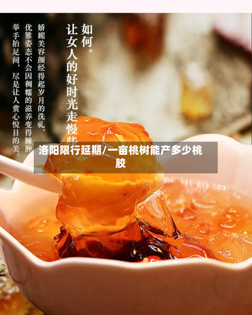 洛阳限行延期/一亩桃树能产多少桃胶