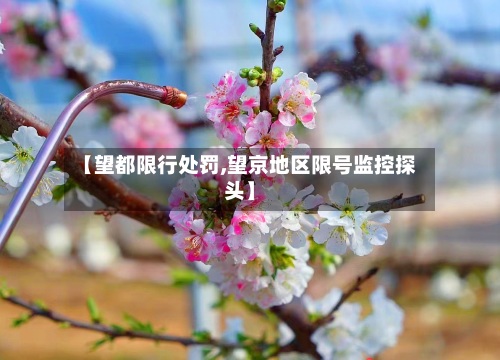 【望都限行处罚,望京地区限号监控探头】-第2张图片