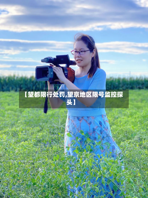 【望都限行处罚,望京地区限号监控探头】