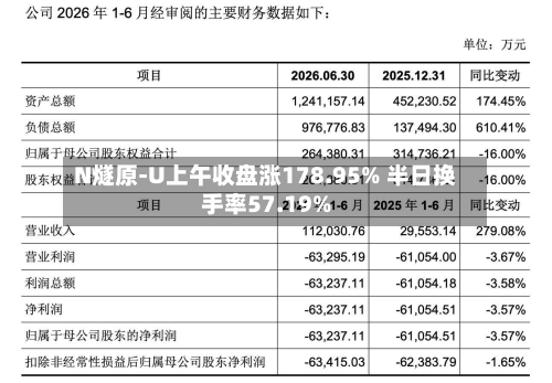 N燧原-U上午收盘涨178.95% 半日换手率57.19%-第2张图片
