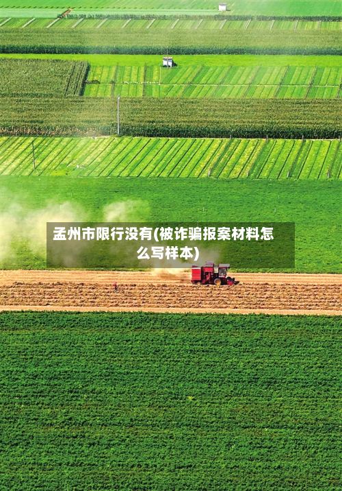 孟州市限行没有(被诈骗报案材料怎么写样本)