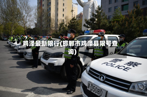 鸡泽最新限行(邯郸市鸡泽县限号查询)-第2张图片