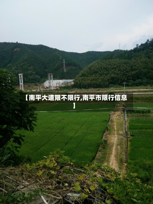 【南平大道限不限行,南平市限行信息】-第3张图片