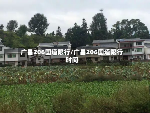 广昌206国道限行/广昌206国道限行时间-第2张图片