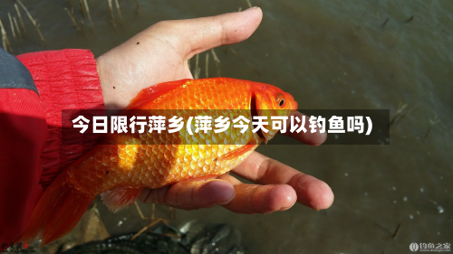 今日限行萍乡(萍乡今天可以钓鱼吗)