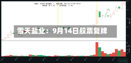 雪天盐业：9月14日股票复牌-第2张图片
