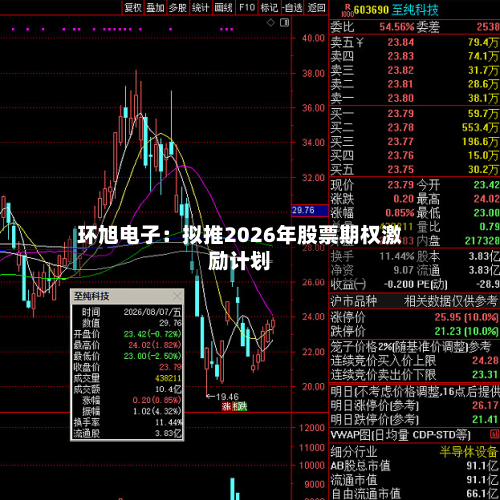 环旭电子:拟推2026年股票期权激励计划-第2张图片