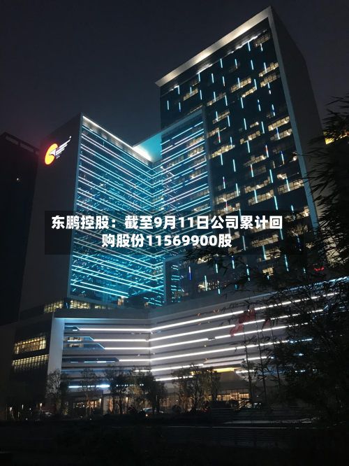 东鹏控股：截至9月11日公司累计回购股份11569900股-第3张图片
