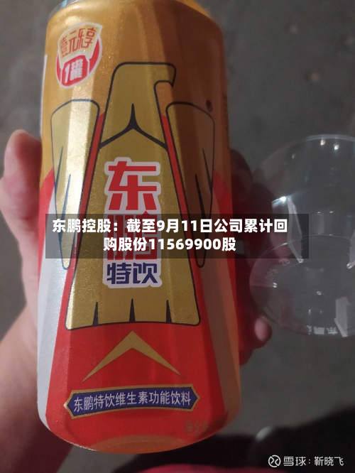 东鹏控股：截至9月11日公司累计回购股份11569900股-第2张图片
