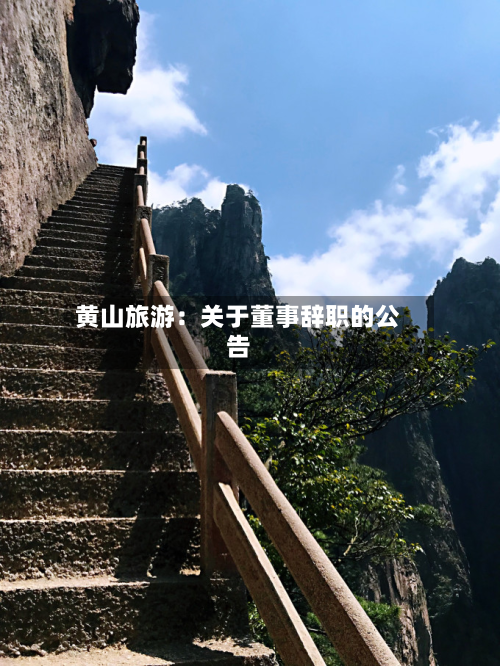 黄山旅游：关于董事辞职的公告