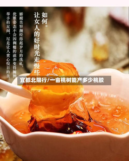 宜都北限行/一亩桃树能产多少桃胶