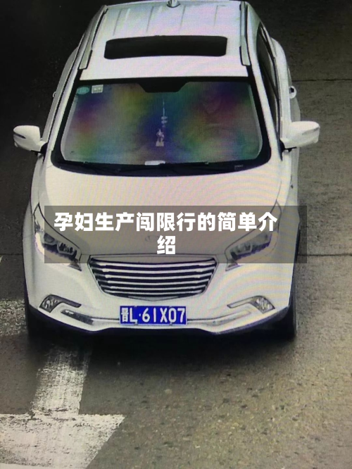 孕妇生产闯限行的简单介绍-第3张图片