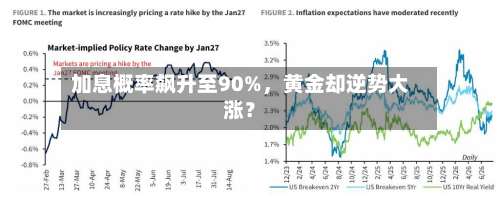 加息概率飙升至90%，黄金却逆势大涨？-第2张图片