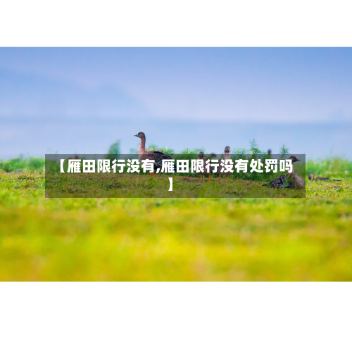 【雁田限行没有,雁田限行没有处罚吗】