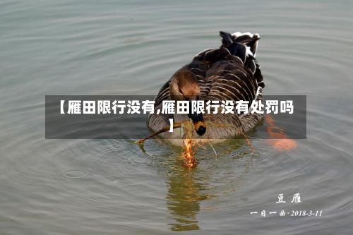 【雁田限行没有,雁田限行没有处罚吗】-第2张图片