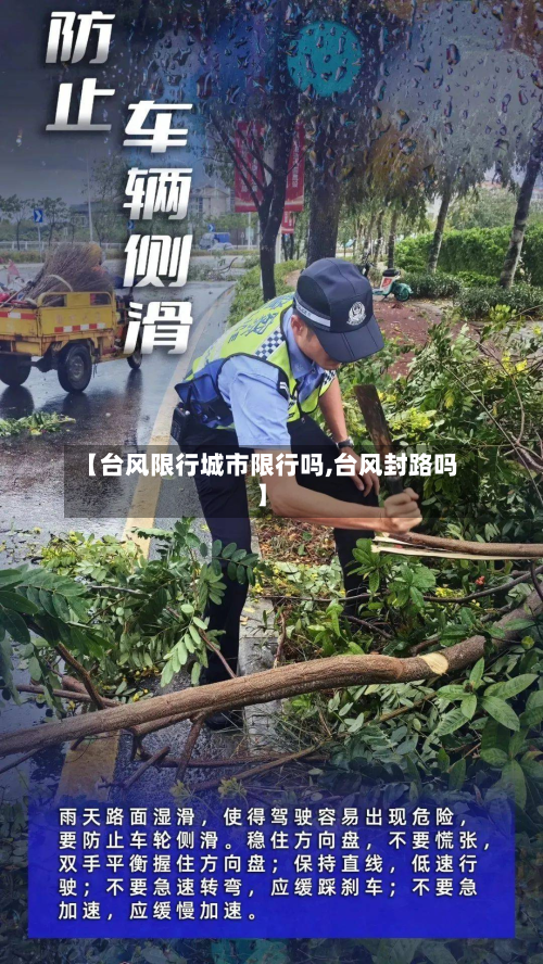 【台风限行城市限行吗,台风封路吗】-第2张图片