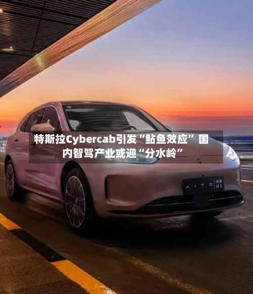 特斯拉Cybercab引发“鲇鱼效应” 国内智驾产业或迎“分水岭”