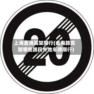 上海金海高架限行(金海路高架哪些路段外地车牌限行)-第3张图片