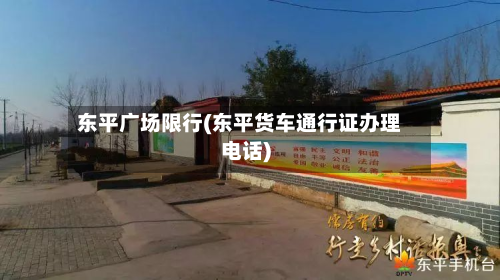 东平广场限行(东平货车通行证办理电话)-第2张图片