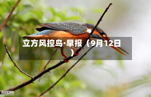 立方风控鸟·早报（9月12日）-第3张图片