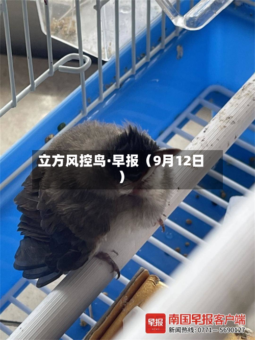 立方风控鸟·早报（9月12日）-第2张图片