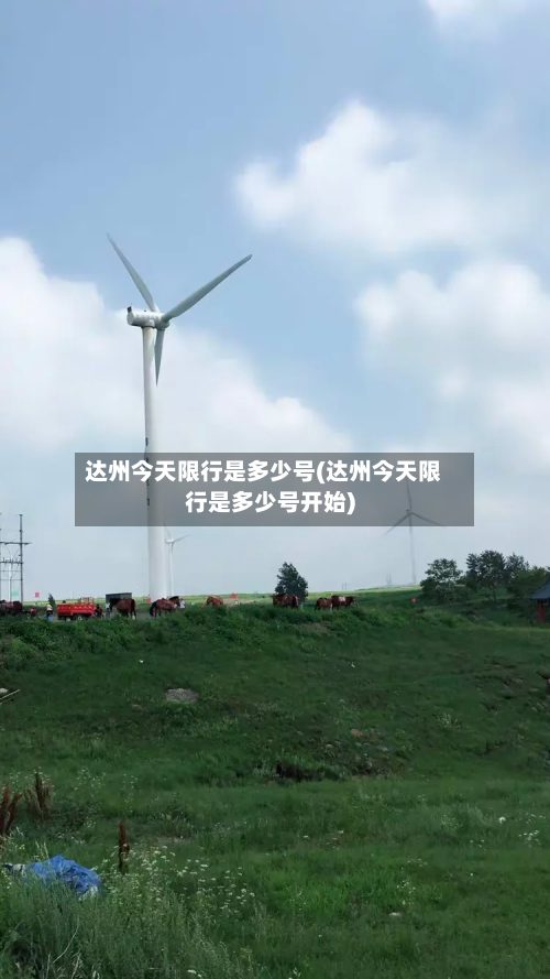 达州今天限行是多少号(达州今天限行是多少号开始)