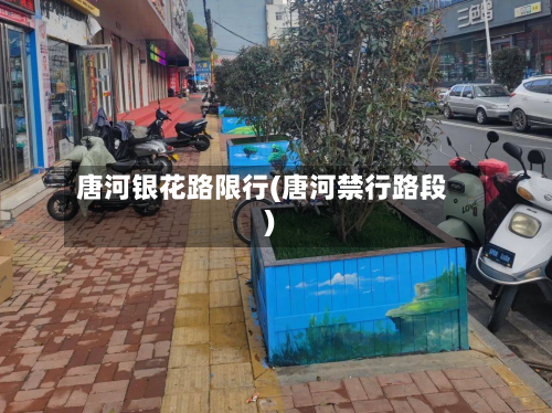 唐河银花路限行(唐河禁行路段)