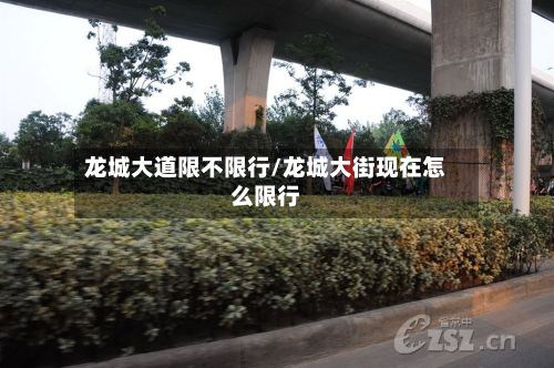 龙城大道限不限行/龙城大街现在怎么限行-第2张图片