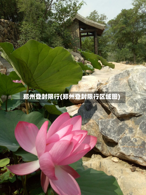 郑州登封限行(郑州登封限行区域图)-第2张图片