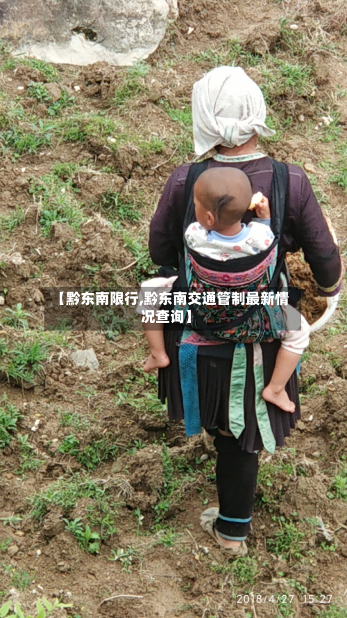 【黔东南限行,黔东南交通管制最新情况查询】