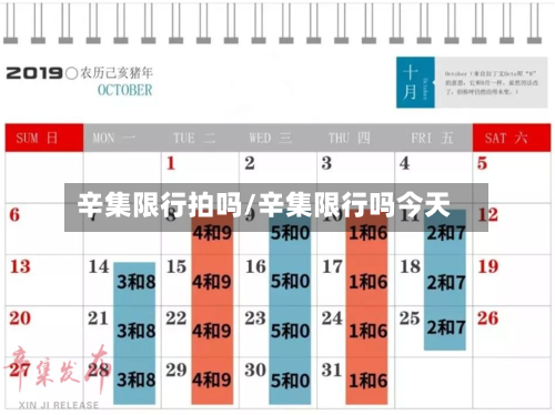 辛集限行拍吗/辛集限行吗今天-第3张图片