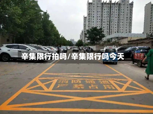 辛集限行拍吗/辛集限行吗今天-第2张图片