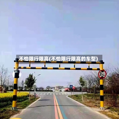 不怕限行限高(不怕限行限高的车型)