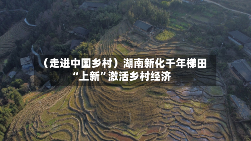 （走进中国乡村）湖南新化千年梯田“上新”激活乡村经济