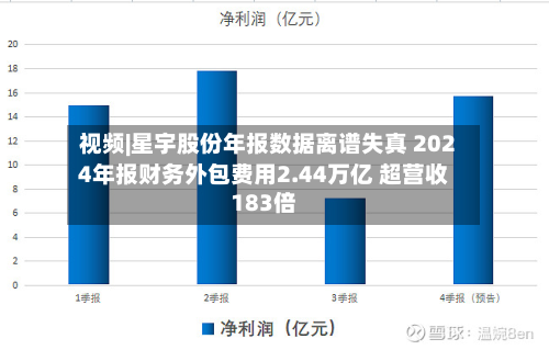视频|星宇股份年报数据离谱失真 2024年报财务外包费用2.44万亿 超营收183倍-第2张图片