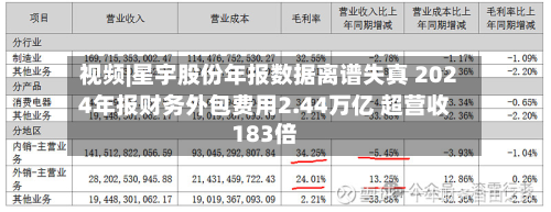 视频|星宇股份年报数据离谱失真 2024年报财务外包费用2.44万亿 超营收183倍-第3张图片