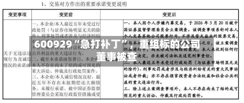 600929“急打补丁”，重组标的公司董事被查