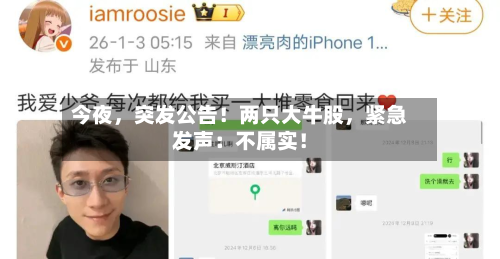 今夜，突发公告！两只大牛股，紧急发声：不属实！-第3张图片