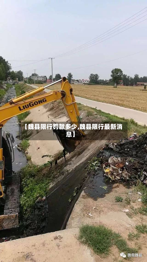 【魏县限行罚款多少,魏县限行最新消息】