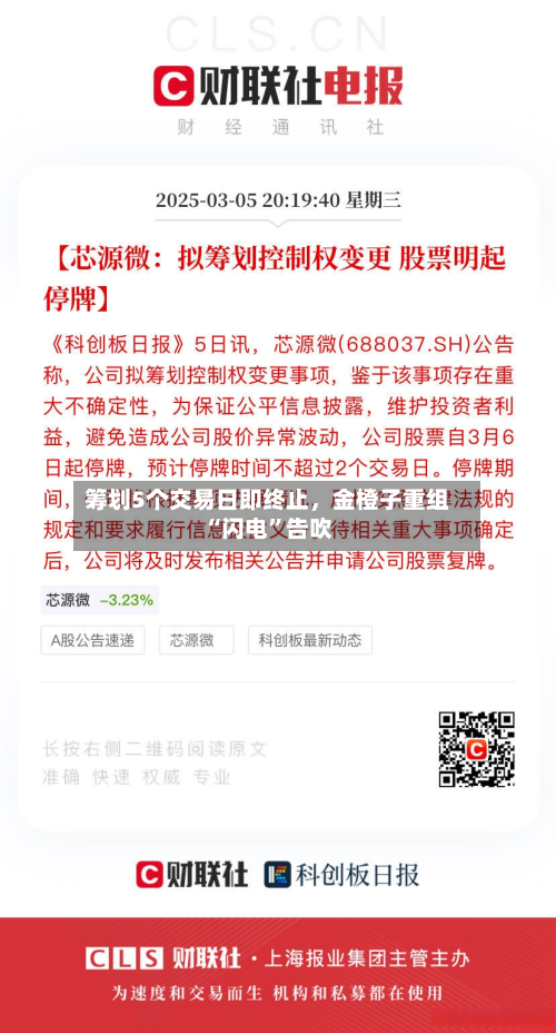 筹划5个交易日即终止	，金橙子重组“闪电	”告吹-第3张图片