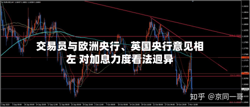 交易员与欧洲央行、英国央行意见相左 对加息力度看法迥异-第2张图片