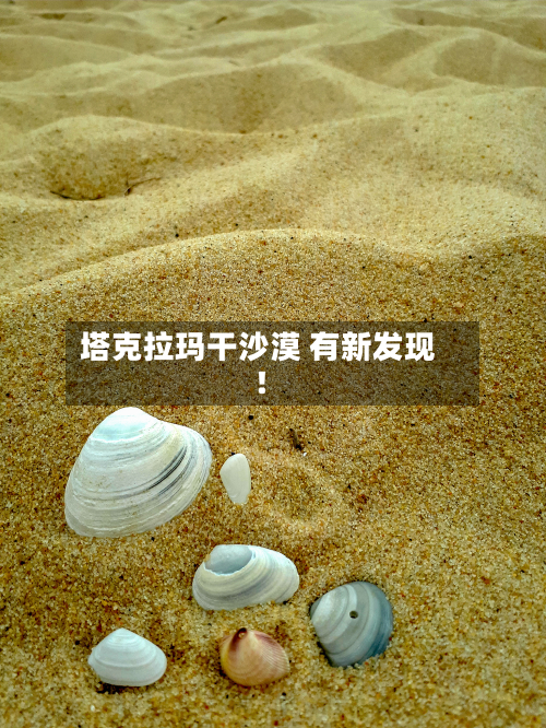 塔克拉玛干沙漠 有新发现！-第2张图片