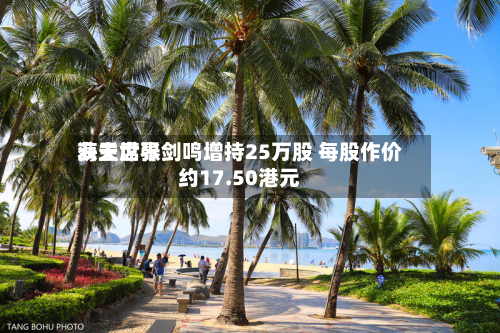 海天世界获主席张剑鸣增持25万股 每股作价约17.50港元-第2张图片
