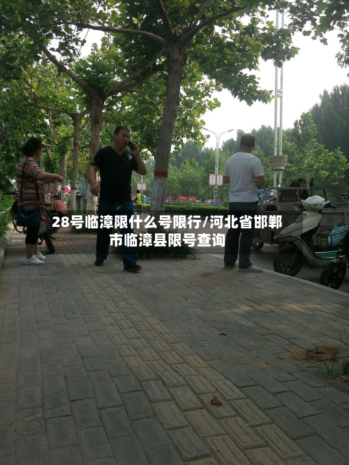 28号临漳限什么号限行/河北省邯郸市临漳县限号查询