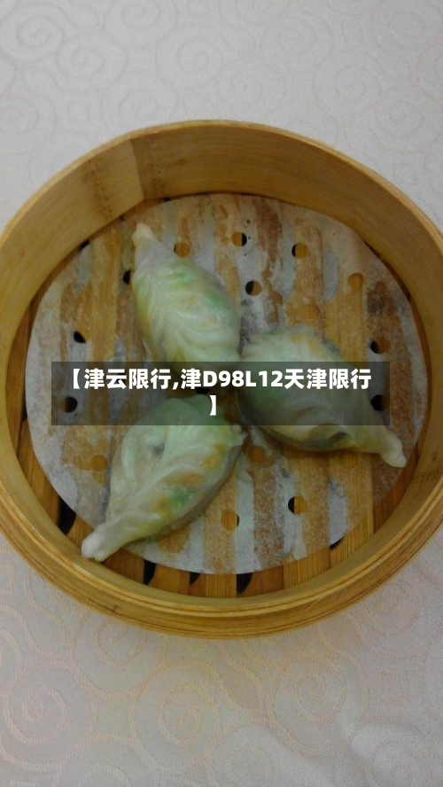 【津云限行,津D98L12天津限行】-第2张图片