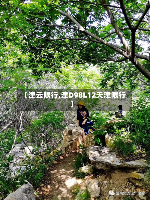 【津云限行,津D98L12天津限行】